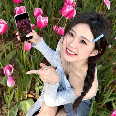 极地熊踪